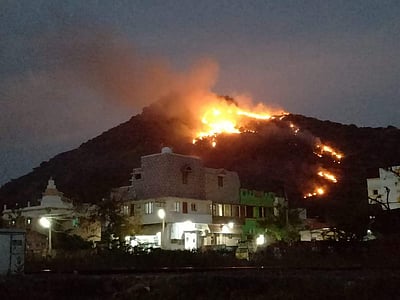 ராஜபாளையம் மலையில் தீ விபத்து