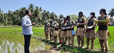 செங்கோட்டையில்வேளாண் மாணவிகள் சிறப்பு முகாம்