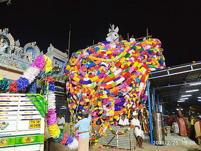 ஆலங்குடி: மல்லுக்கு வரும் கூட்டணிக் கட்சிகள்