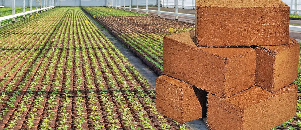 தேங்காய் நார் புரட்சி!