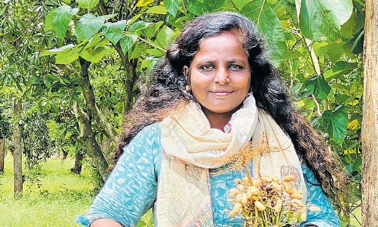 சிறுதானிய விவசாயத்தை மீட்டெடுத்தவர்!