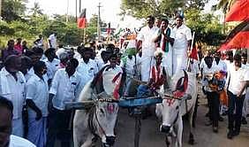 மாட்டு வண்டியில் திமுக வேட்பாளா் பிரசாரம்