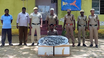 மண்டபத்தில் 25 கிலோ கடல் அட்டைகள் பறிமுதல்: ஒருவா் கைது