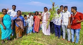 அரசின் நலத்திட்டங்கள் முழுமையாக கிடைத்திட நடவடிக்கை எடுப்பேன்