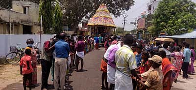 முருகன் கோயில்களில் பங்குனி உத்திர தேரோட்டம்