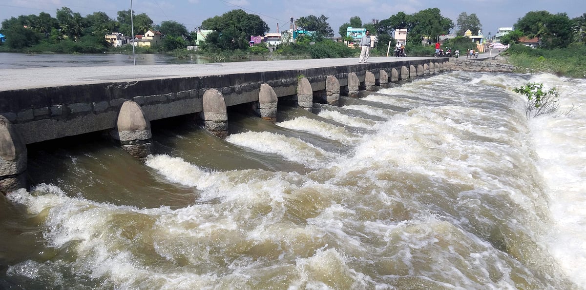 திருக்கோவிலூர்: திமுக - காங்கிரஸ் கூட்டணி வலுவான தொகுதி