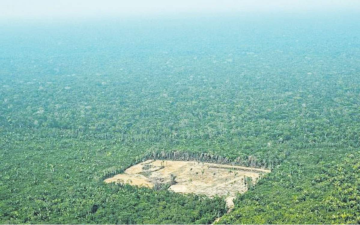 அமேஸான் காடுகளுக்கு மேலே!