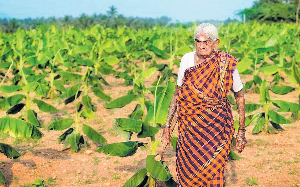 அரசியலில் ஆர்வம் உண்டு - 105 வயது பாப்பம்மாள் பாட்டி