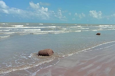 வேதாரண்யம் கடற்கரையில் ஒதுங்கிய ஏலக்காய் மூட்டைகள்