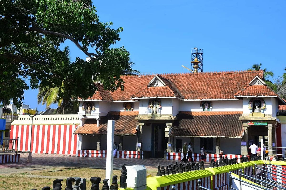 நாக தோஷம் போக்கும் நாகராஜா திருக்கோயில்