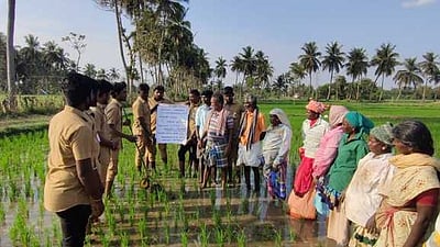 திருந்திய நெல் சாகுபடி செயல் விளக்கம்