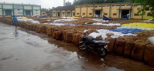 செய்யாறு பகுதியில் நெல் விலை வீழ்ச்சி: விவசாயிகள் கவலை