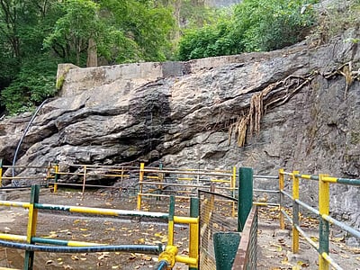 கம்பம், கூடலூர் பகுதிகளில் பரவலாக மழை