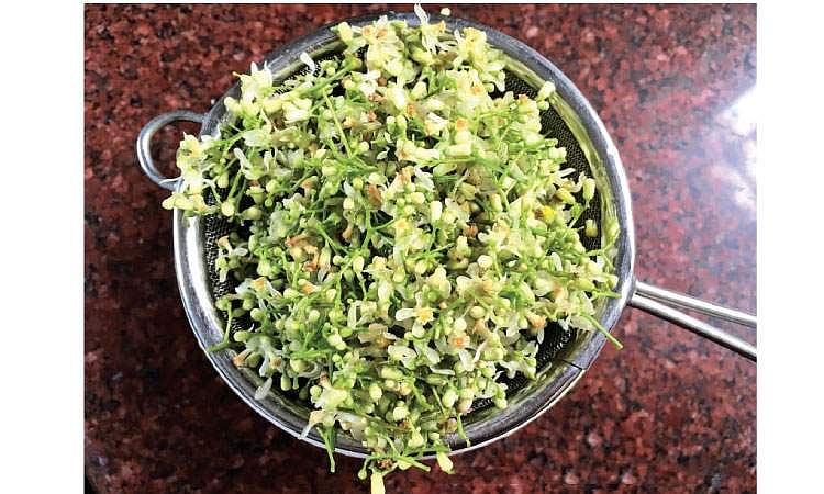 வேப்பம் பூ பொக்கிஷம்!