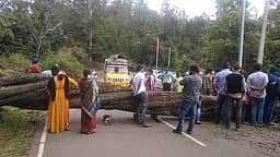 ஏற்காட்டில் சாலையில் மரம் விழுந்ததால் போக்குவரத்து பாதிப்பு