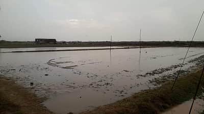 வேதாரண்யம் அருகே இடியுடன் கூடிய மழை