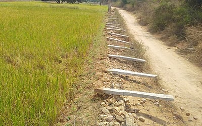 போ்ணாம்பட்டு அருகே தொடரும் ஒற்றை யானையின் அட்டகாசம்