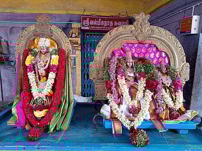 திருவெற்றியூர் பாகம்பிரியாள் கோவில் சித்திரை திருவிழா கொடியேற்றம் 