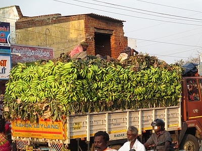 களக்காடு வட்டாரத்தில் ஏத்தன் வாழைத்தாா் விலை உயா்வு