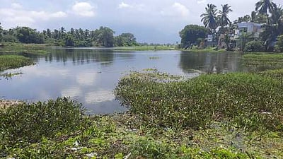 சுசீந்திரம் அருகே குளத்தை சீரமைத்த இன்னா்வீல் கிளப்