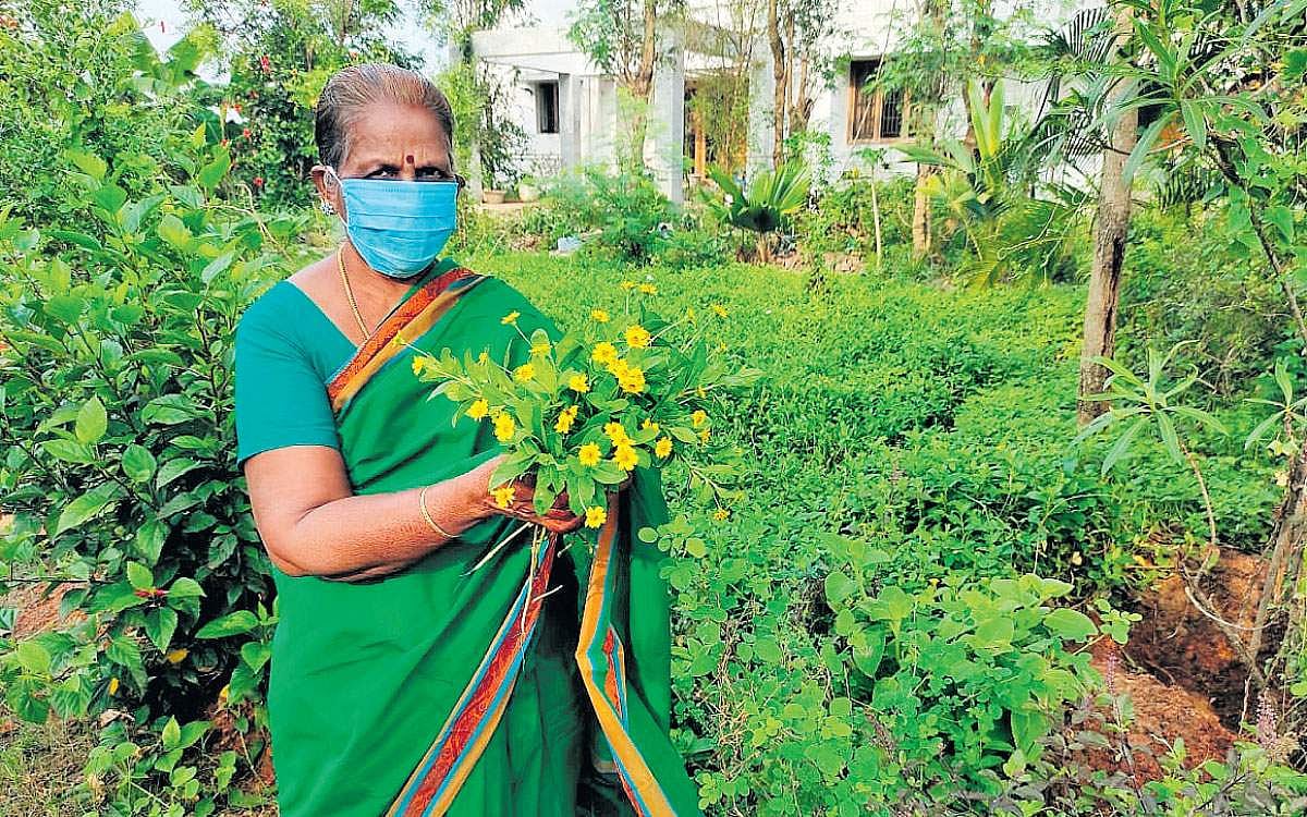 மூலிகைப் பெண்மணி!