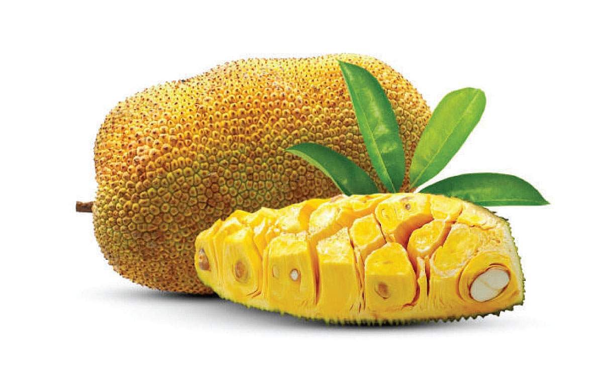 பலாப்பழத்தின் நன்மைகள்!