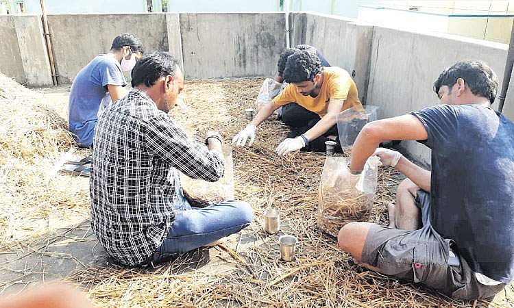 விவசாயிகளுக்கு உதவும் இளைஞர்கள்!