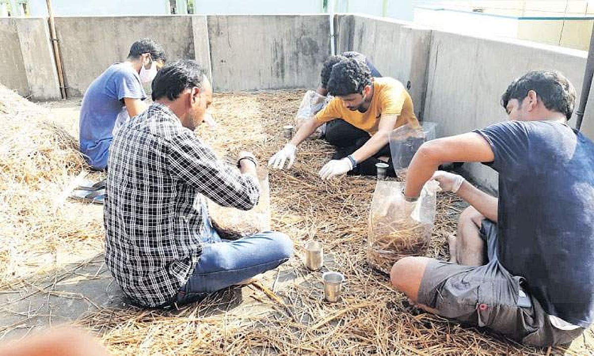 விவசாயிகளுக்கு உதவும் இளைஞர்கள்!