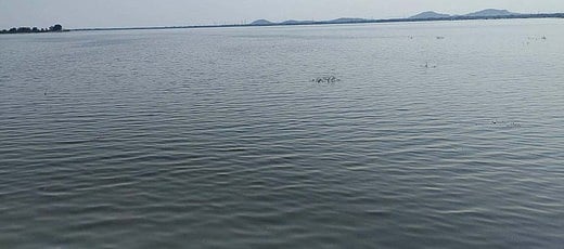 கோடையிலும் கடல்போல் காட்சி அளிக்கும் காவேரிப்பாக்கம் ஏரி