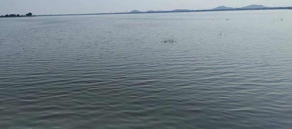 கோடையிலும் கடல்போல் காட்சி அளிக்கும் காவேரிப்பாக்கம் ஏரி