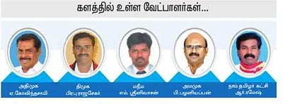 பாப்பிரெட்டிப்பட்டி: அதிமுகவுக்கு தொடா் வெற்றி சாத்தியமா?