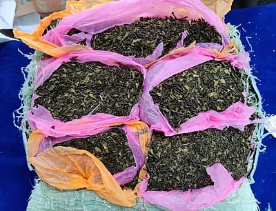 சென்னையில் ரூ.1.17 கோடி போதைப் பொருள் பறிமுதல்