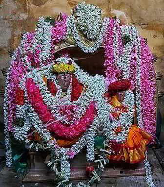 சீா்காழி சட்டநாதா்கோயில் திருக்கல்யாணஉத்ஸவம்.