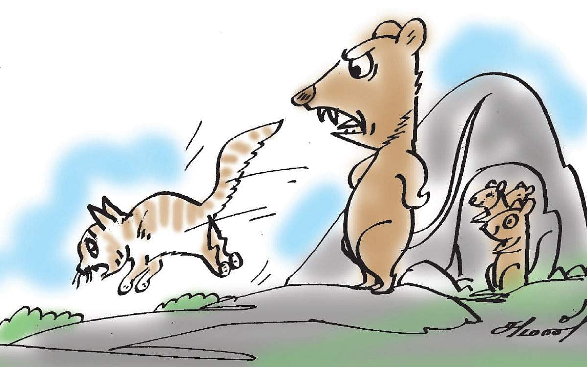 கற்றுக்கொள்!