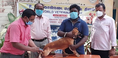 உலக கால்நடை மருத்துவ தினம்