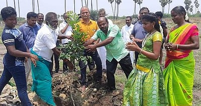 கருங்காலிப்பட்டியில் மரக்கன்று நடும் விழா