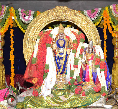 திருத்தணி முருகன் கோயிலில் தெய்வானை திருக்கல்யாணம்