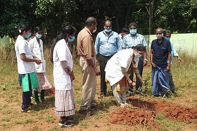 கிள்ளியூரில் மரக் கன்று நடும் விழா