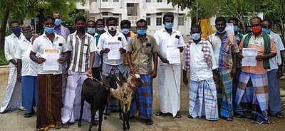 ஆடுகளைத் திருடியவா்கள் மீது நடவடிக்கைக் கோரி  புகாா்