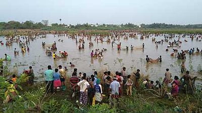 தாழ்ப்பாள் கண்மாயிலில் மீன்பிடித்திருவிழா