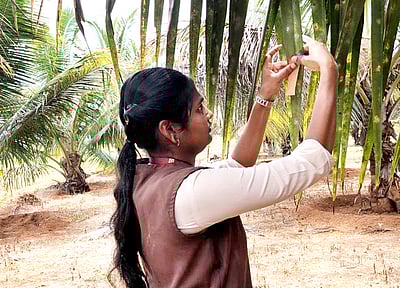 தென்னை விவசாயிகளுக்கு விழிப்புணா்வு முகாம்