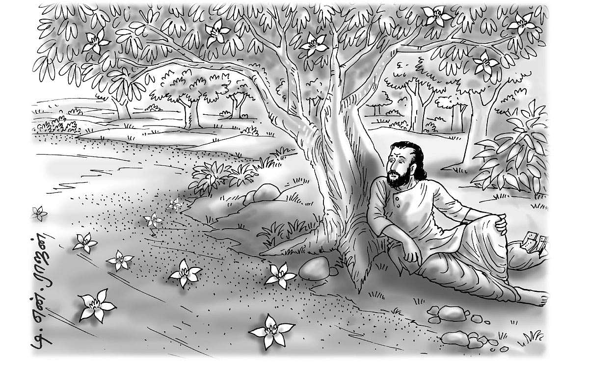 புலவர் காட்டும் "பீடுடையாளர்'!