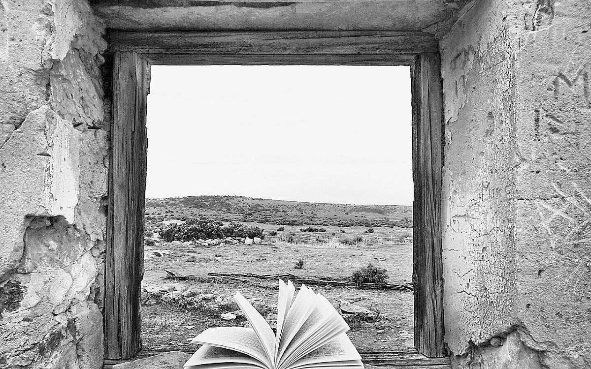 புத்தகங்கள்... நல்ல நண்பர்கள்!