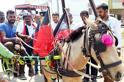 குதிரை வண்டியில் சென்று திமுக வேட்பாளா் பிரசாரம்