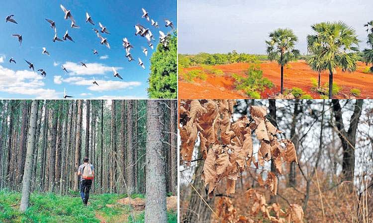 இணைய வெளியினிலே...