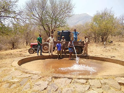 கூடலூர் வனச்சரகத்தில் வன விலங்குகளுக்கு குடிதண்ணீர்