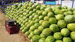 கோடை வெயிலால் தா்பூசணி விற்பனை தீவிரம்