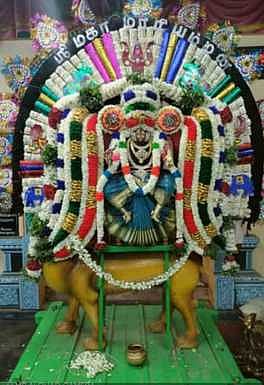 தென்குடி மாரியம்மன் கோயிலில் காவடி உற்சவம்.