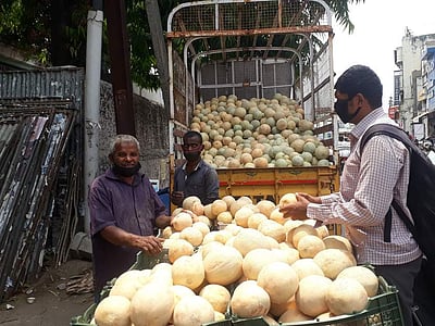 சாலையோரங்களில் விற்பனைக்கு குவிக்கப்பட்டுள்ள முலாம் பழம்