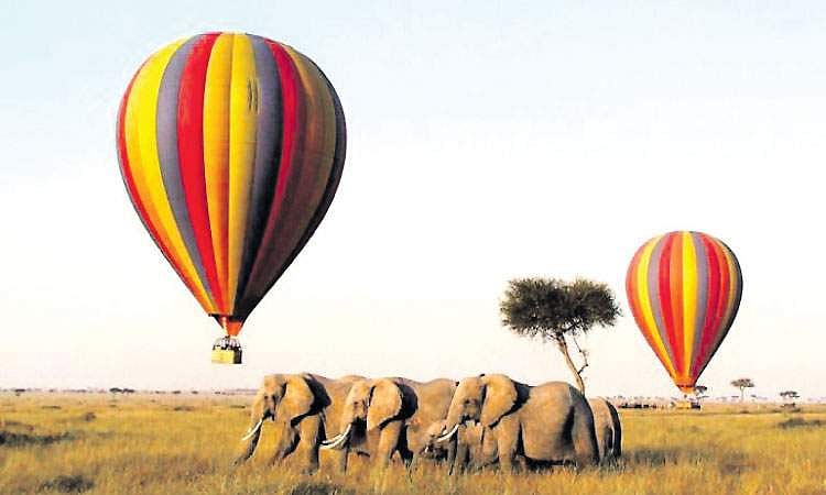 பறந்து கொண்டே ரசிக்கலாம்!